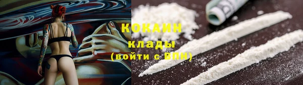 мяу мяу мука Бородино
