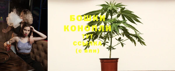 мяу мяу мука Бородино