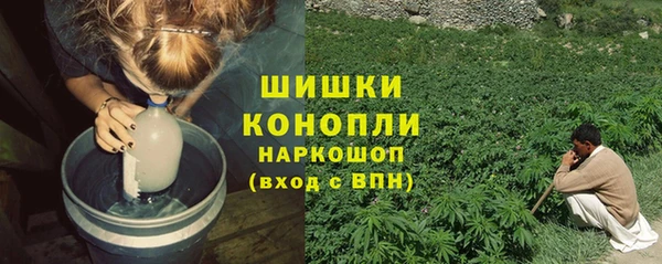 мяу мяу мука Бородино