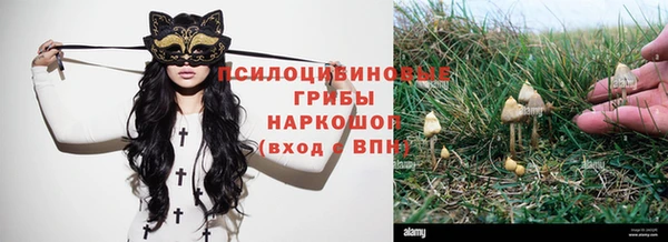 мескалин Бронницы